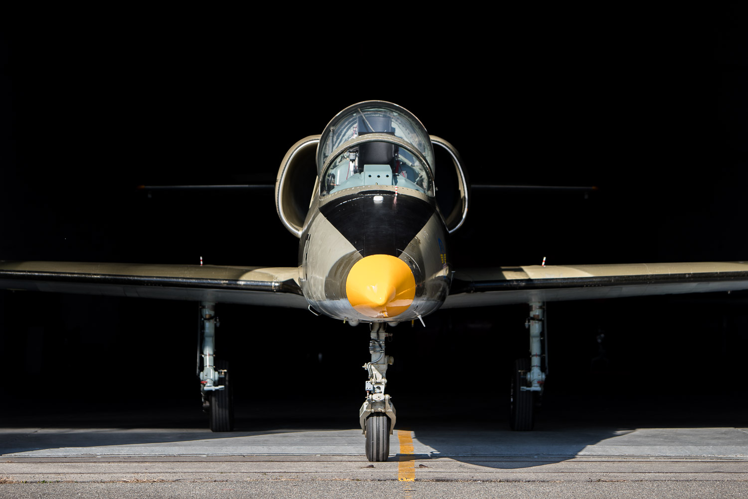 Adrenalínový let stíhačkou L‑39 Albatros – prúdové lietadlo a preťaženie