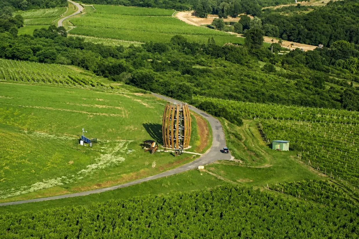 Zážitkový let lietadlom Streda nad Bodrogom-1